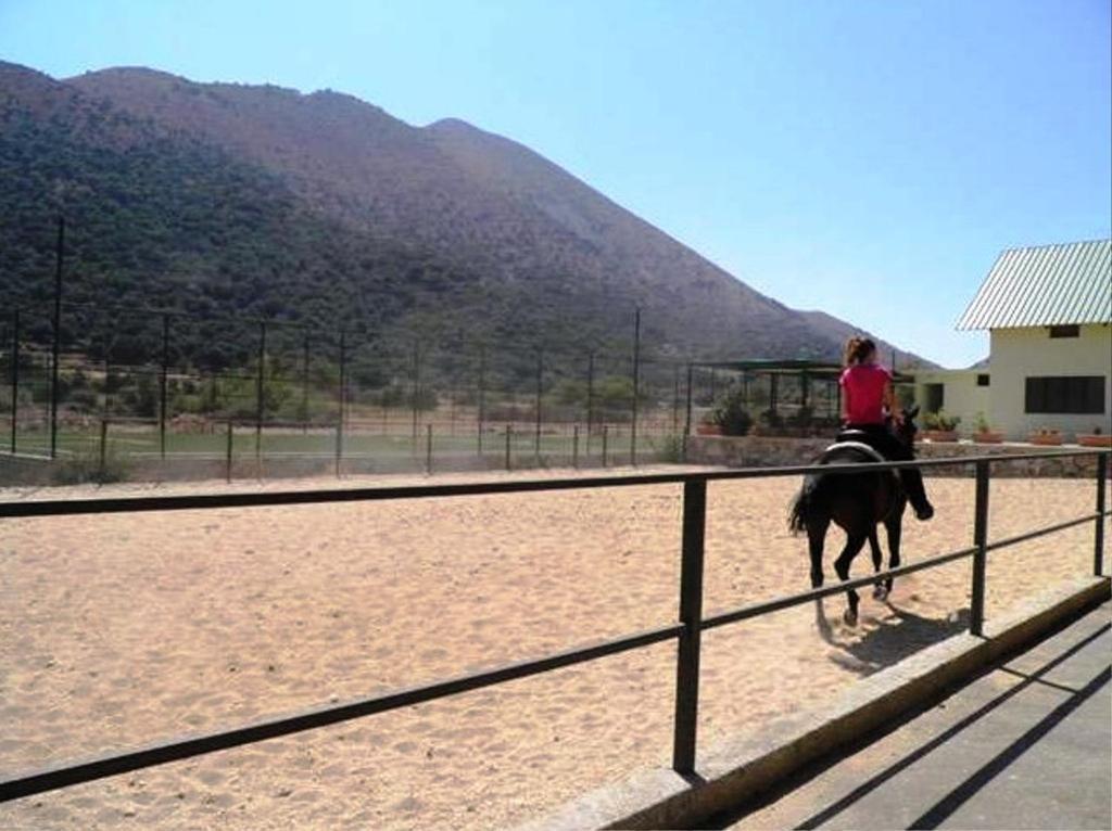 Lefkoritis Resort Askifou Sfakia Petrés Dış mekan fotoğraf