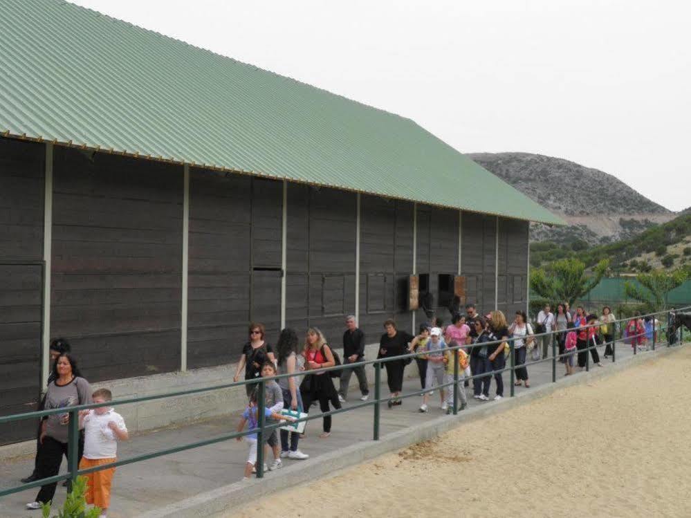 Lefkoritis Resort Askifou Sfakia Petrés Dış mekan fotoğraf