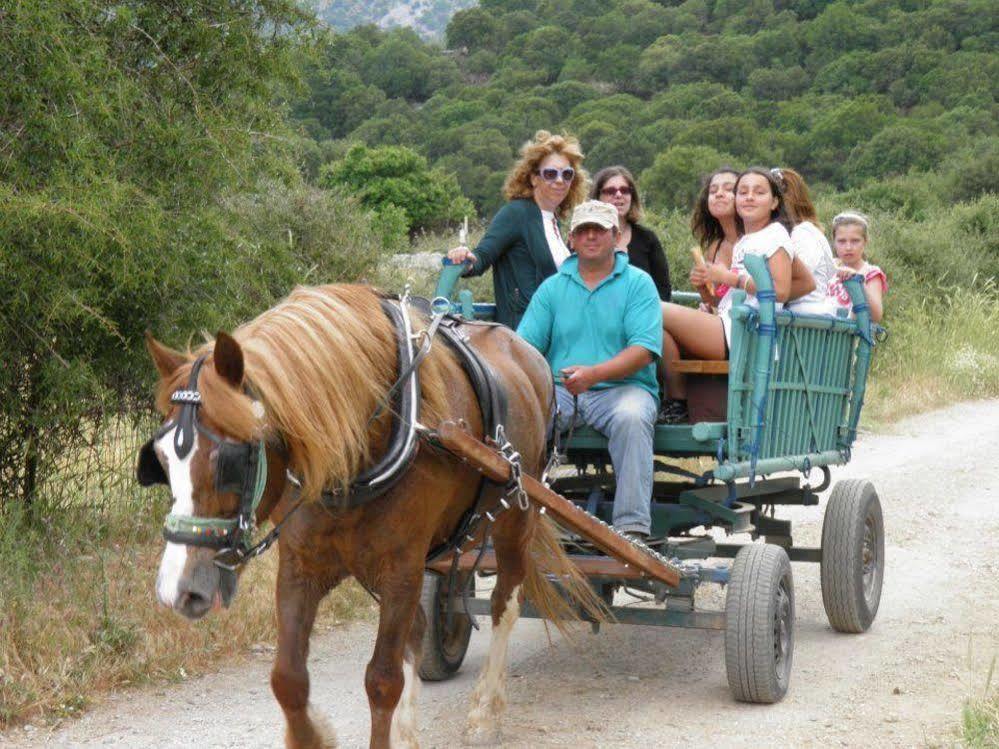 Lefkoritis Resort Askifou Sfakia Petrés Dış mekan fotoğraf